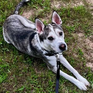 Meet your Posher, Msquared